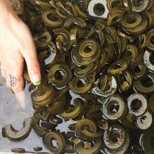 Load image into Gallery viewer, Dill & Garlic Kelp Pickles