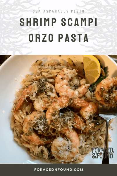 Sea Asparagus Pesto Shrimp Scampi over Creamy Orzo Pasta